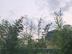 -小茶闲舍·观景商务茶馆(广州塔店)