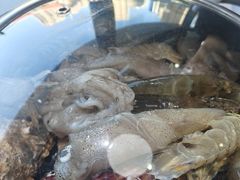 -大锅强·蒸海鲜青岛菜(吾悦广场店)