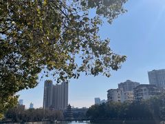 -宝岛公园
