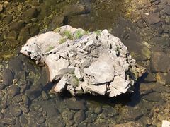 -终南山国家森林公园