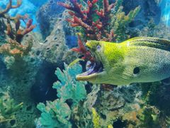 -多彩贵州城极地海洋世界