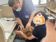 -北京观赏动物医院·24小时大型综合·猫专科·异宠专科