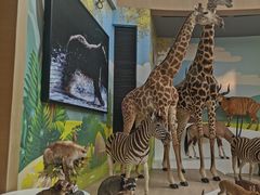 -陕西自然博物馆