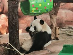 -南宁市动物园