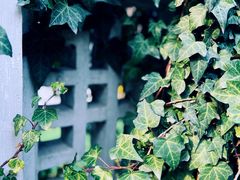 -颐和路民国时期公馆风貌区