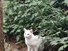 -崂山巨峰游览区
