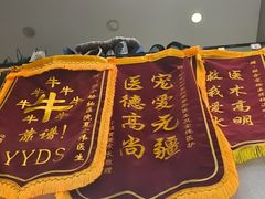-联合动物医院(光谷诊疗中心)