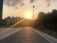 -深圳大学(丽湖校区)