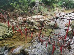 -南海湾森林生态园