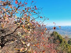 -北京西山国家森林公园