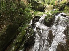 -藏龙百瀑风景区