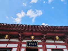 -灵谷景区