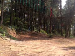 -铁山坪森林公园