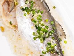 -钟菜·粤菜点心·宴请(海上世界·汇港二期店)