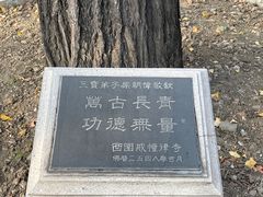 -西园戒幢律寺