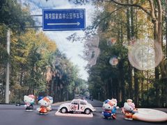 -上海海湾国家森林公园