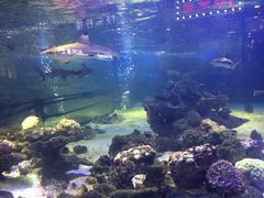 -凯德广场(学府店)