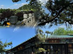 -古琴台