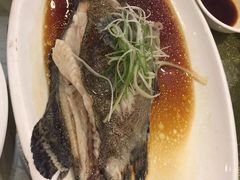 -高老庄绿色传奇(昊元生活广场店)