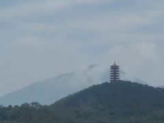 -望湖烤鱼