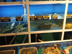 水产区-金龙·打边炉(南京西路店)