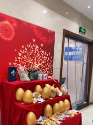 -碧莲盛·不剃发植发