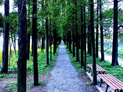 -上海长兴岛郊野公园