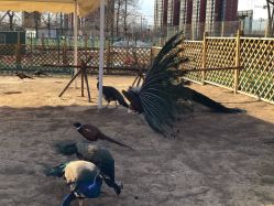 -萌宠亲子动物乐园(槐房万达店)