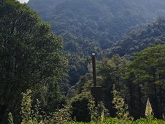 -姑婆山旅游区