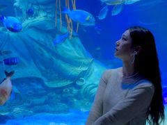 -沈阳海洋探索中心