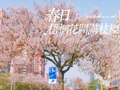 -平乐园(地铁站)