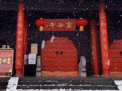 -灵谷景区