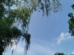 -新江湾城公园