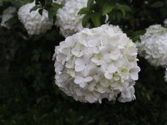 -杭州城北体育公园
