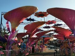 -第35届青岛国际啤酒节