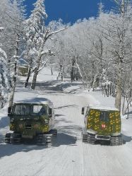 -大秃顶子山