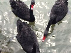 iphone_upload_pic-上海怡沁园度假酒店