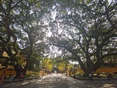-桂林独秀峰王城景区