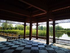 -张家湾公园