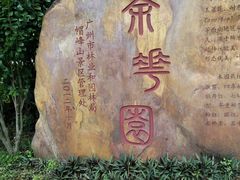 -广州市帽峰山景区