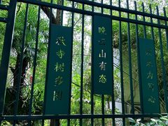 -北极阁公园