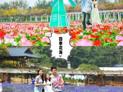 -盈香心动乐园