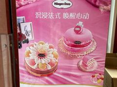 -哈根达斯(扬州瘦西湖店)