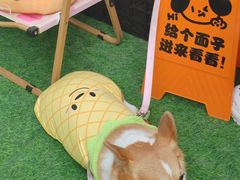-柠季·手打柠檬茶(静安大悦城北座B1店 )
