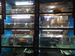 水产区-好灶头妈妈菜·柴火灶台鱼·千岛湖土菜地标美食