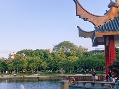 -金砂公园