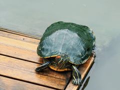 -丝绸小镇荻港古村