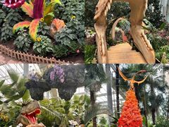 -沈阳植物园