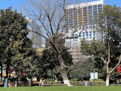 -常州古运河南大街文化旅游区-人民公园