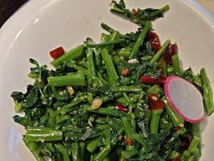 清炒板蓝根-青海名吃尕张娃非遗烤肉(海湖总店)